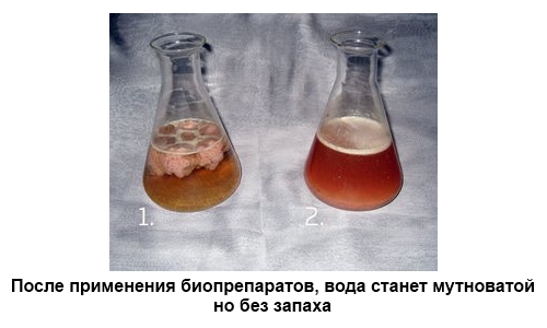 До и после применения биопрепаратов